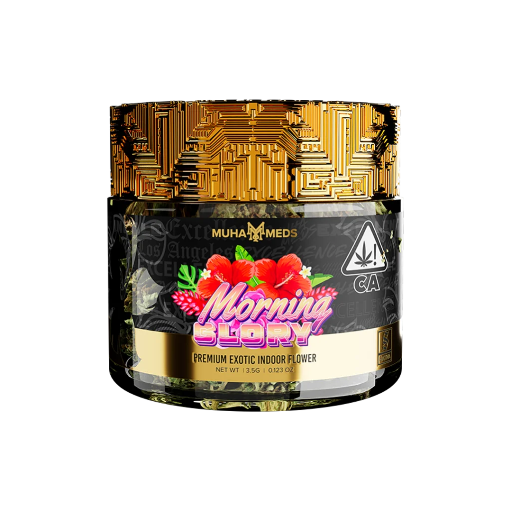 Morning Glory Flower wholesale UK