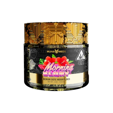 Morning Glory - Sativa