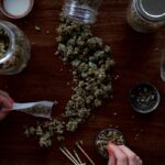 hemp flowers wholesale UK guide for UK retailers 2026