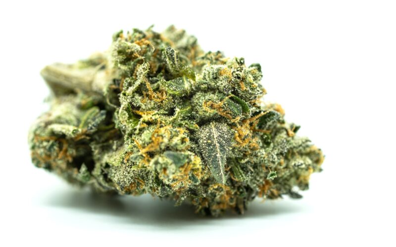 pre-rolls wholesale UK guide for UK retailers 2026
