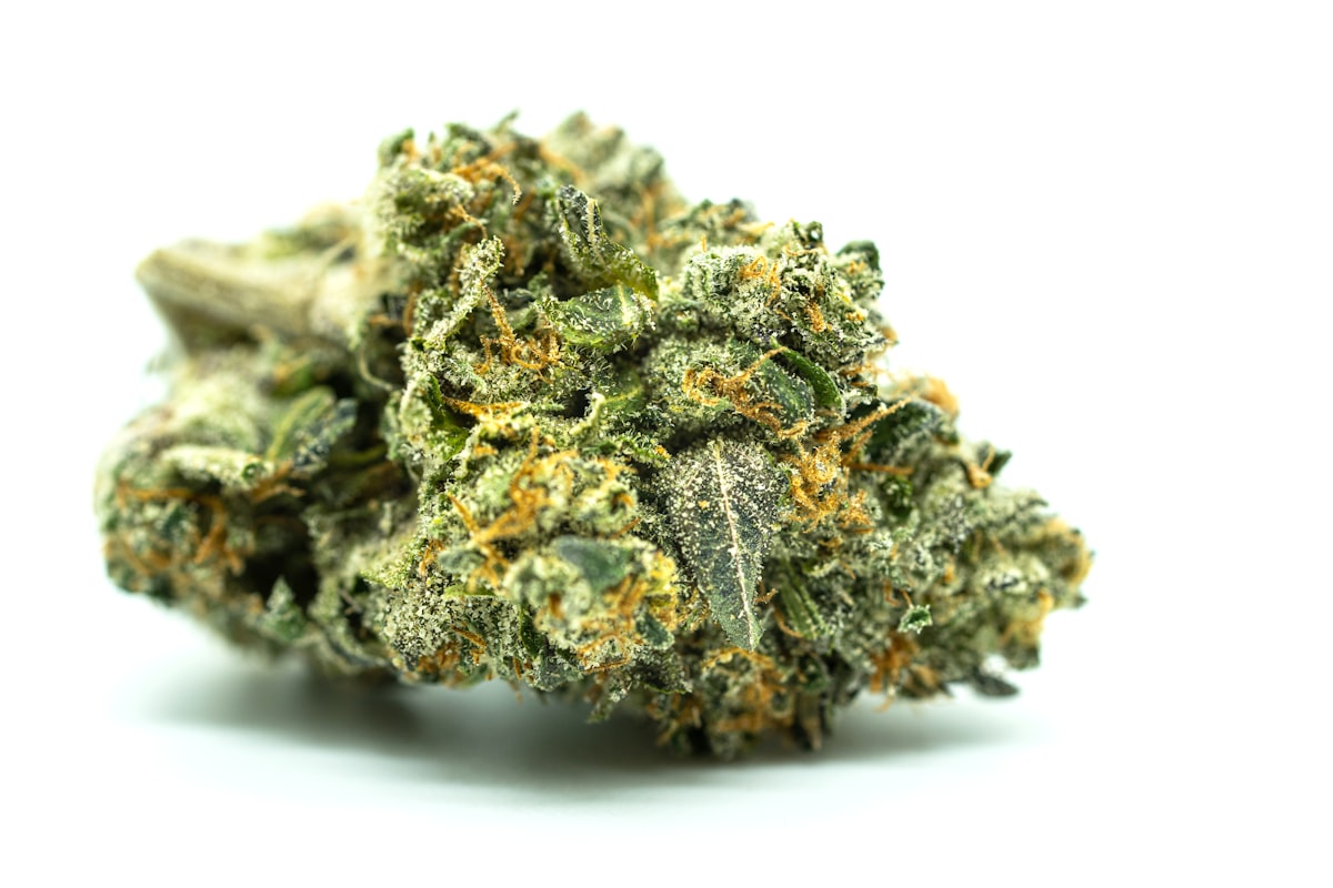 pre-rolls wholesale UK guide for UK retailers 2026